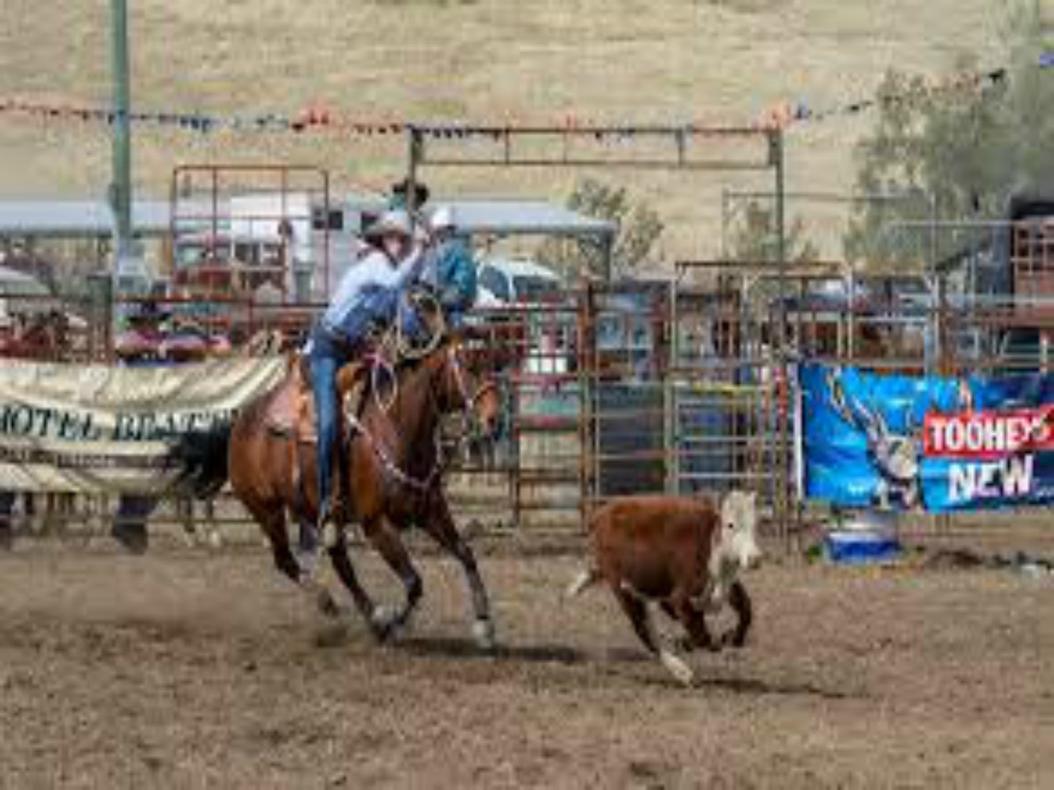 Gresford  Campdraft And Rodeo - thumb 1