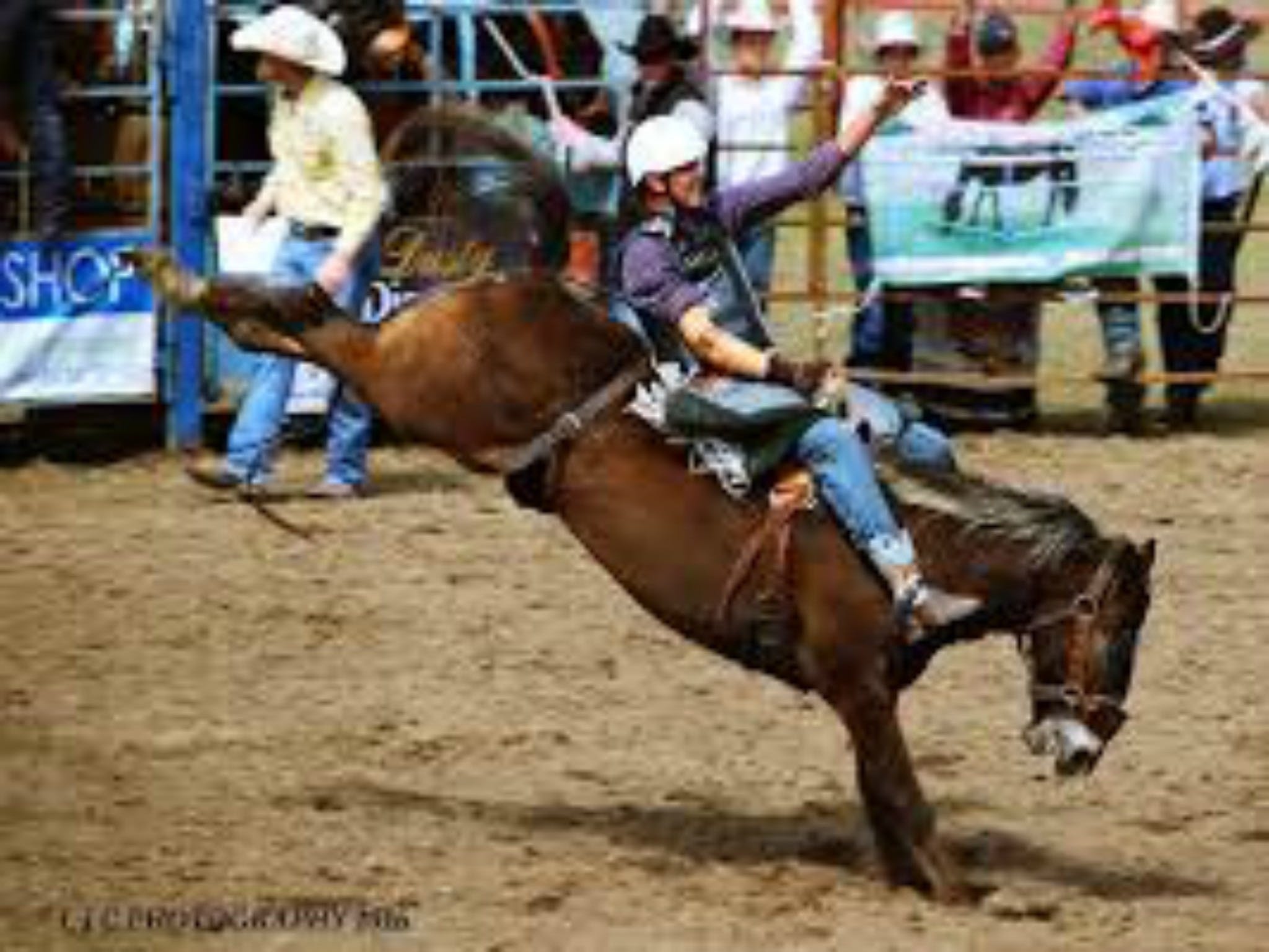 Gresford  Campdraft And Rodeo - thumb 2