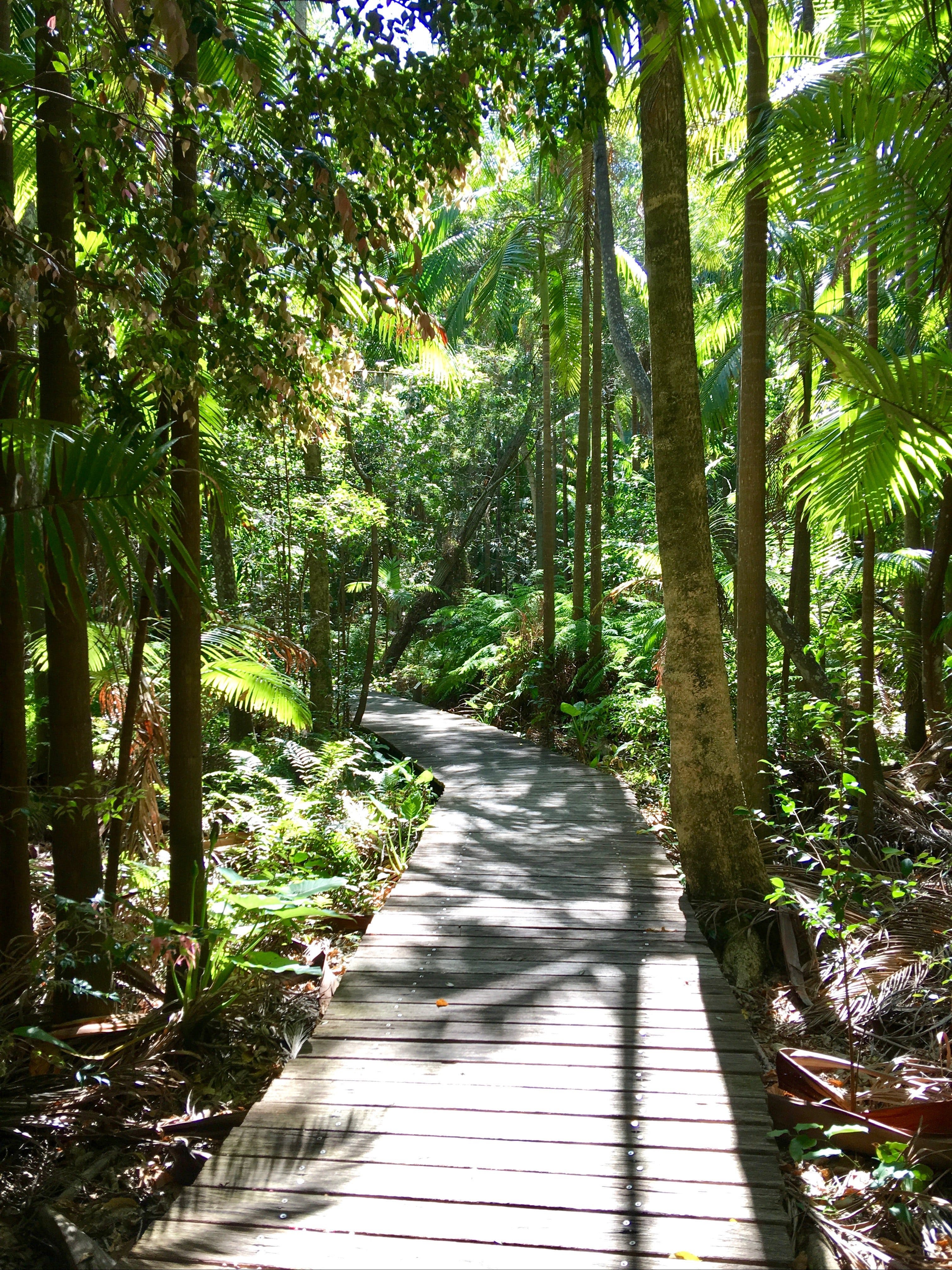 Mindfulness Escapes Byron Bay - thumb 1