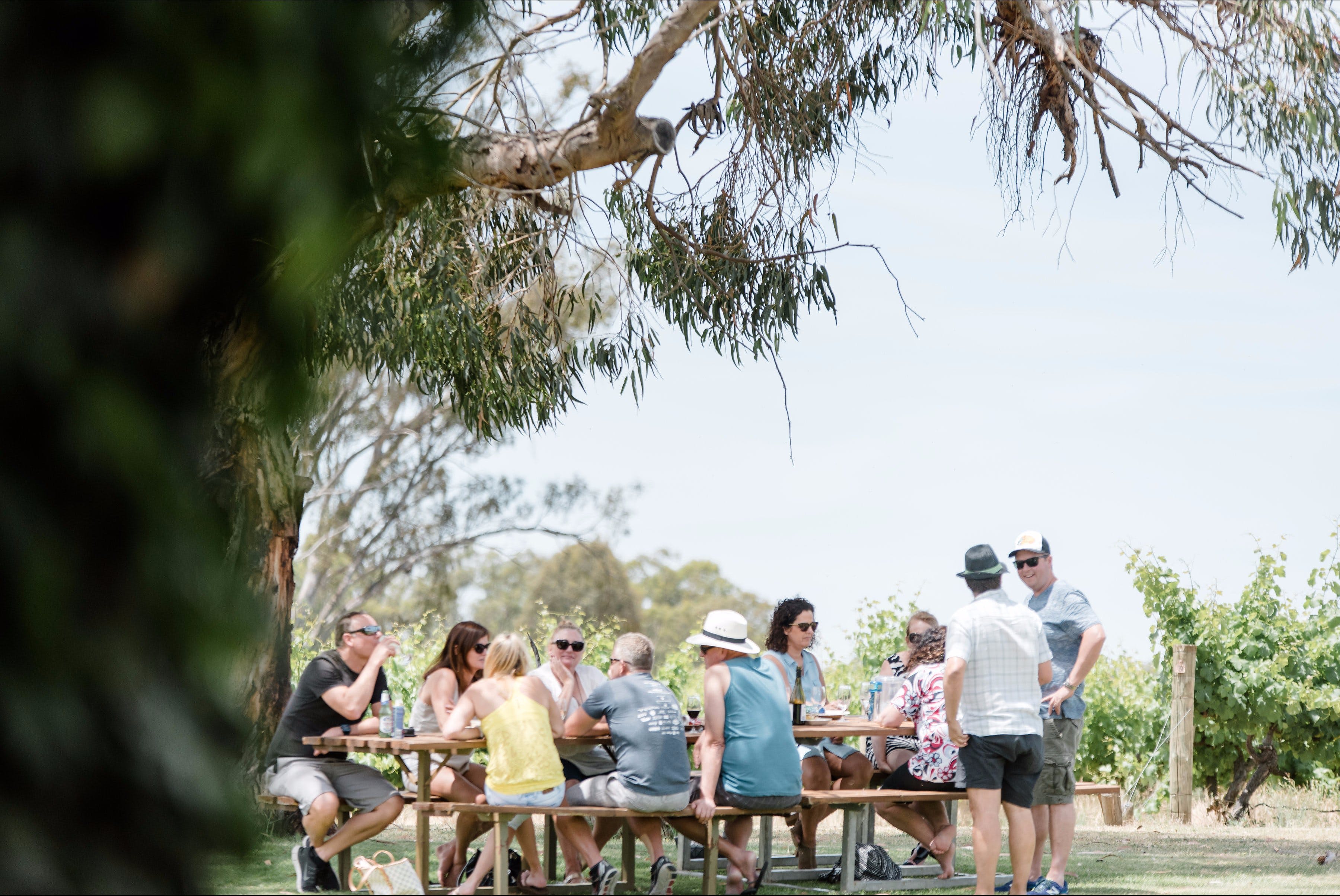 Music on the Murray - Pubs and Clubs