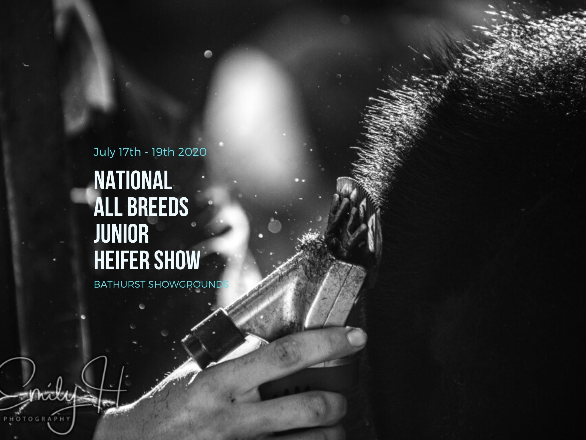 National All Breeds Junior Heifer Show - Accommodation Bookings