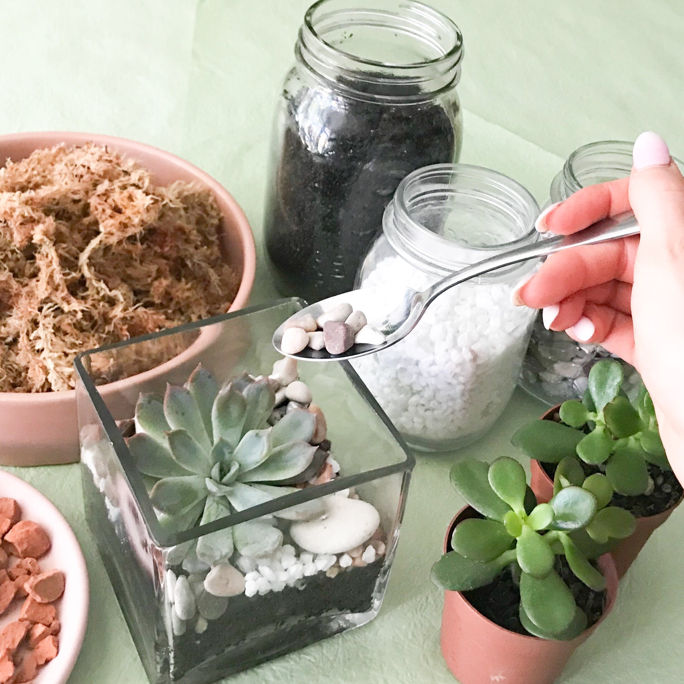 Online Live Streaming Class: Make Your Own Terrarium - thumb 0