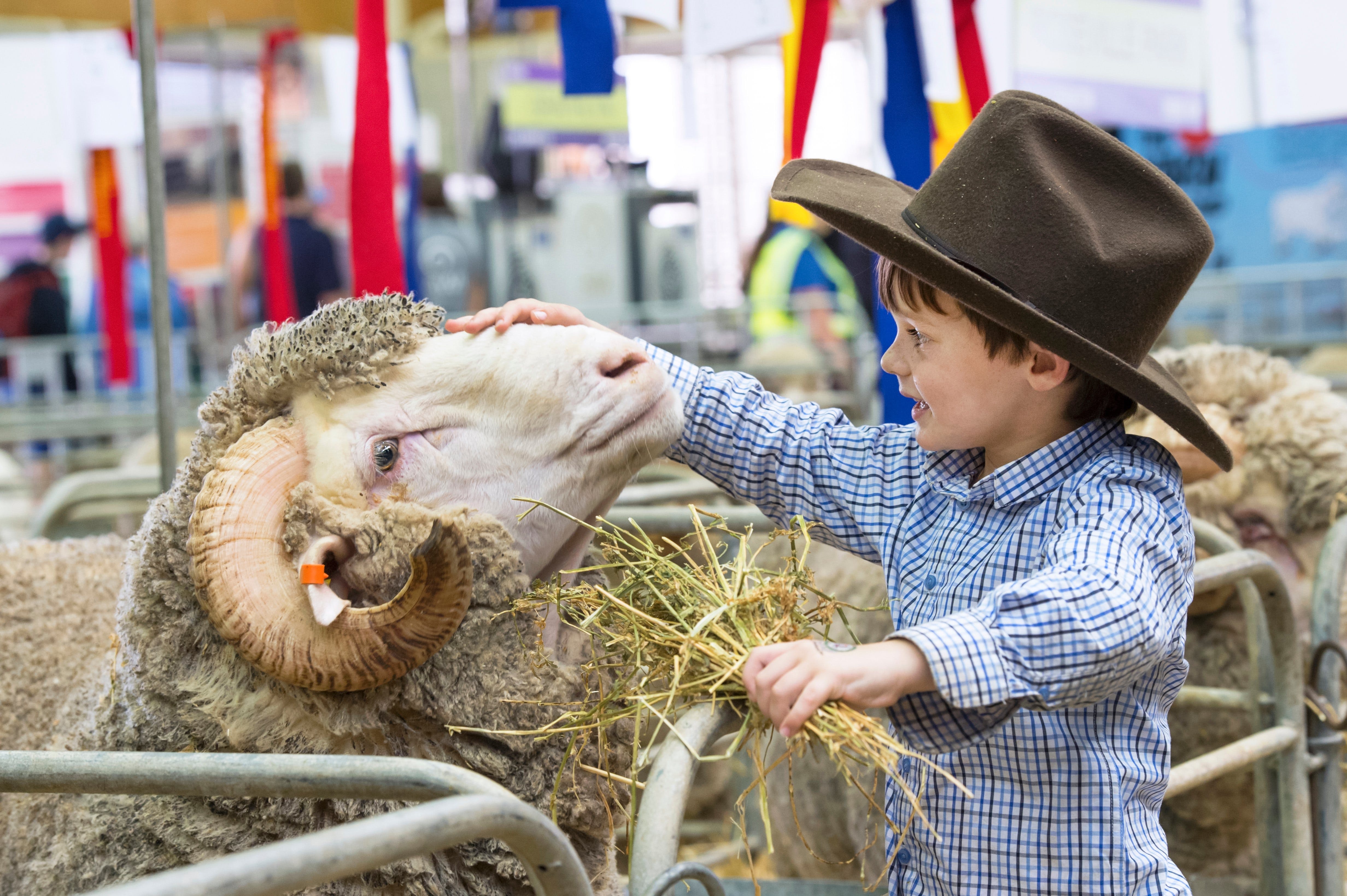 Sydney Royal Easter Show - Tourism Bookings WA