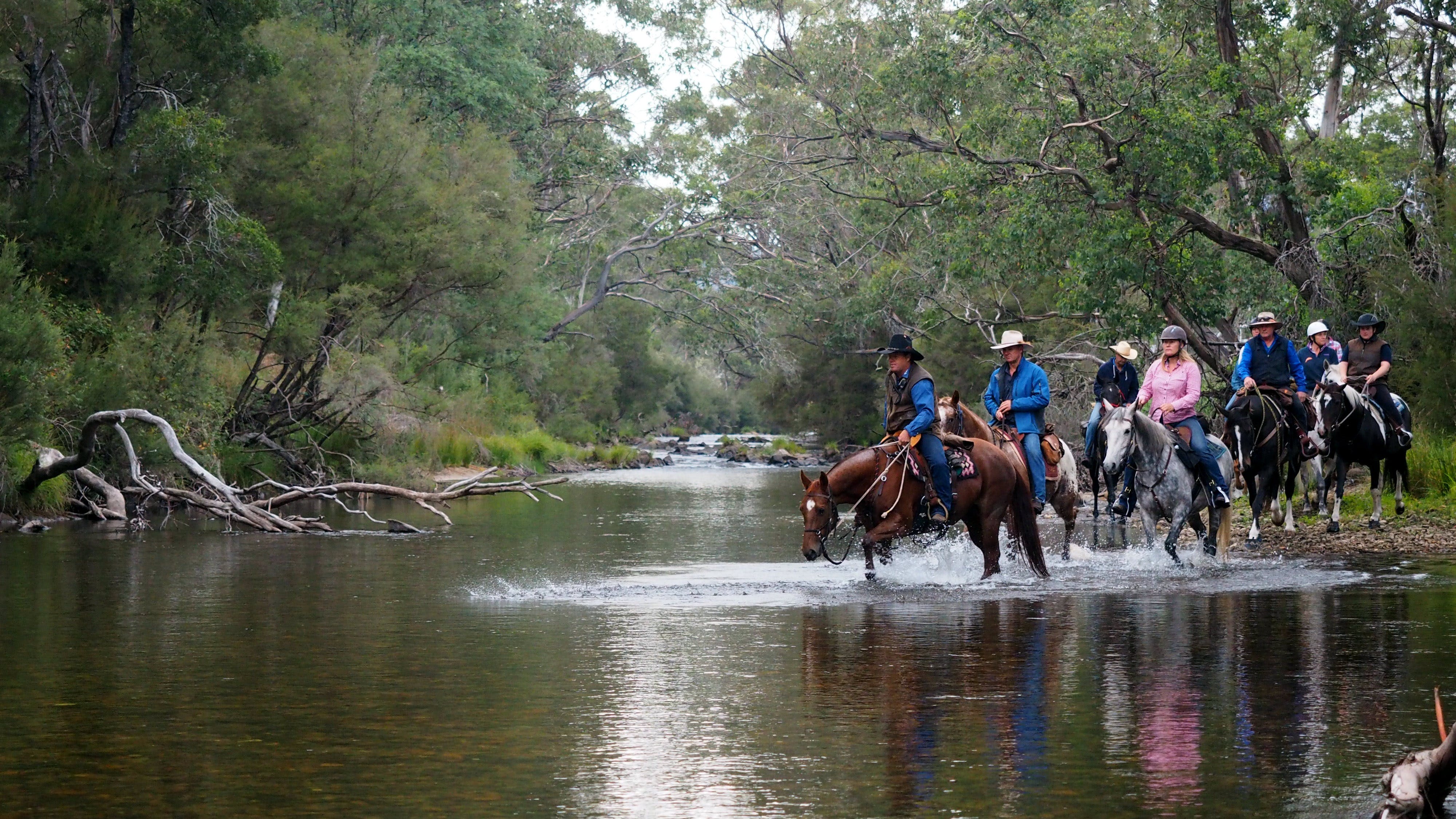 The Man From Snowy River Bush Festival - Nambucca Heads Accommodation