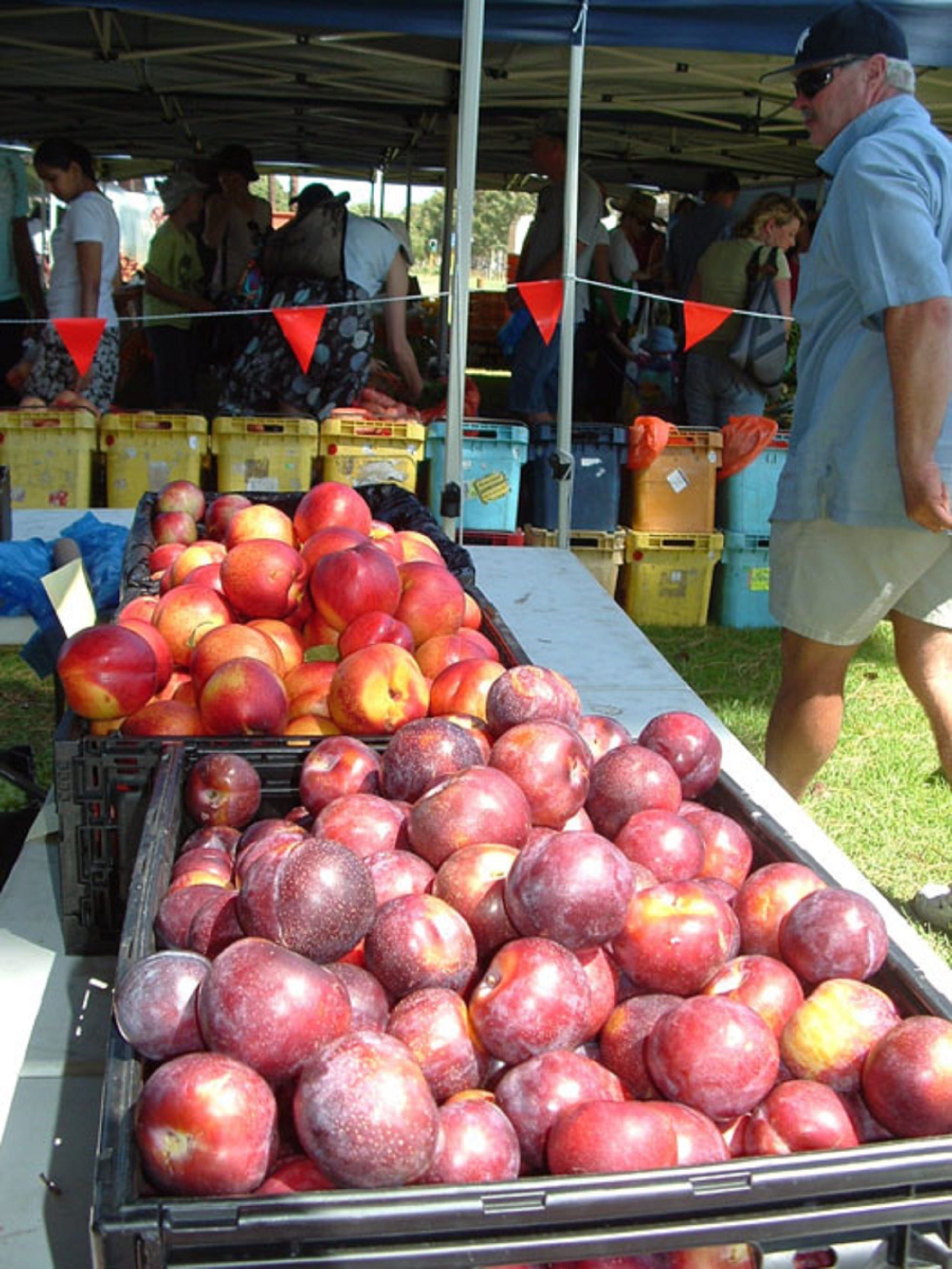 The Farmers Market on Manning - Tourism Bookings WA