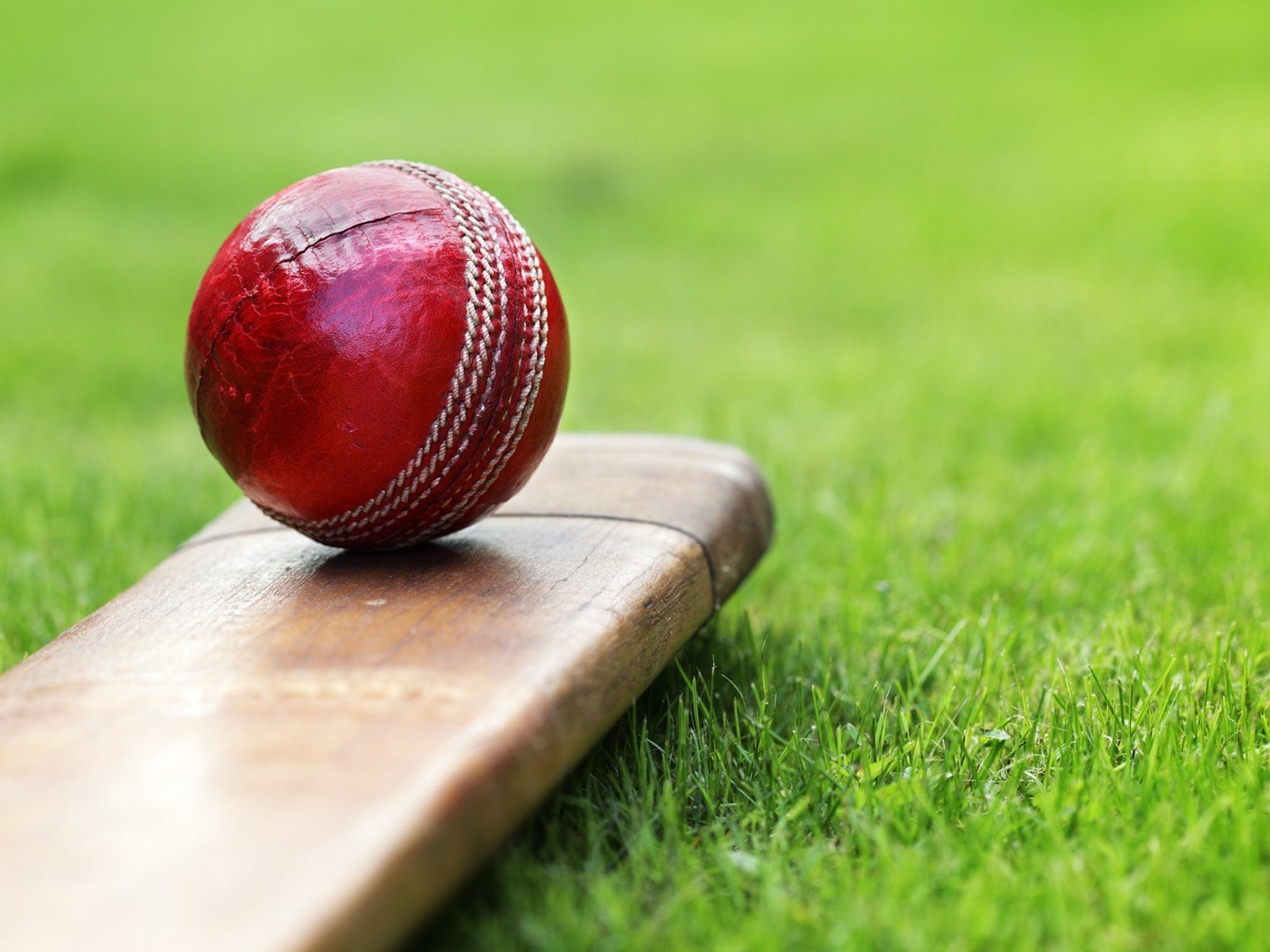 Under 13 14 15 Cricket Youth Championships - Accommodation Bookings