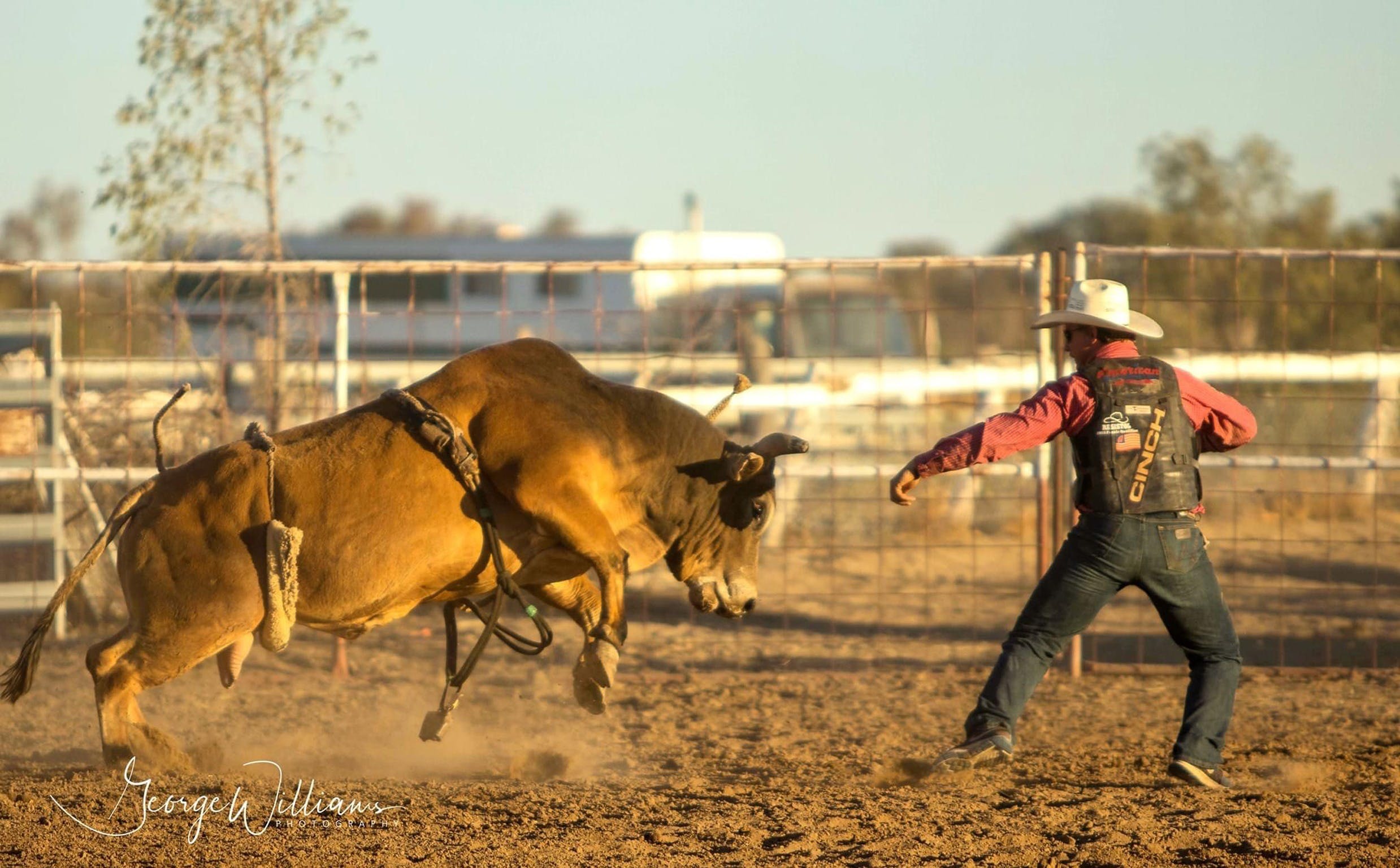 Walgett Charity Bushman's Carnival Rodeo and Campdraft - Tourism Canberra