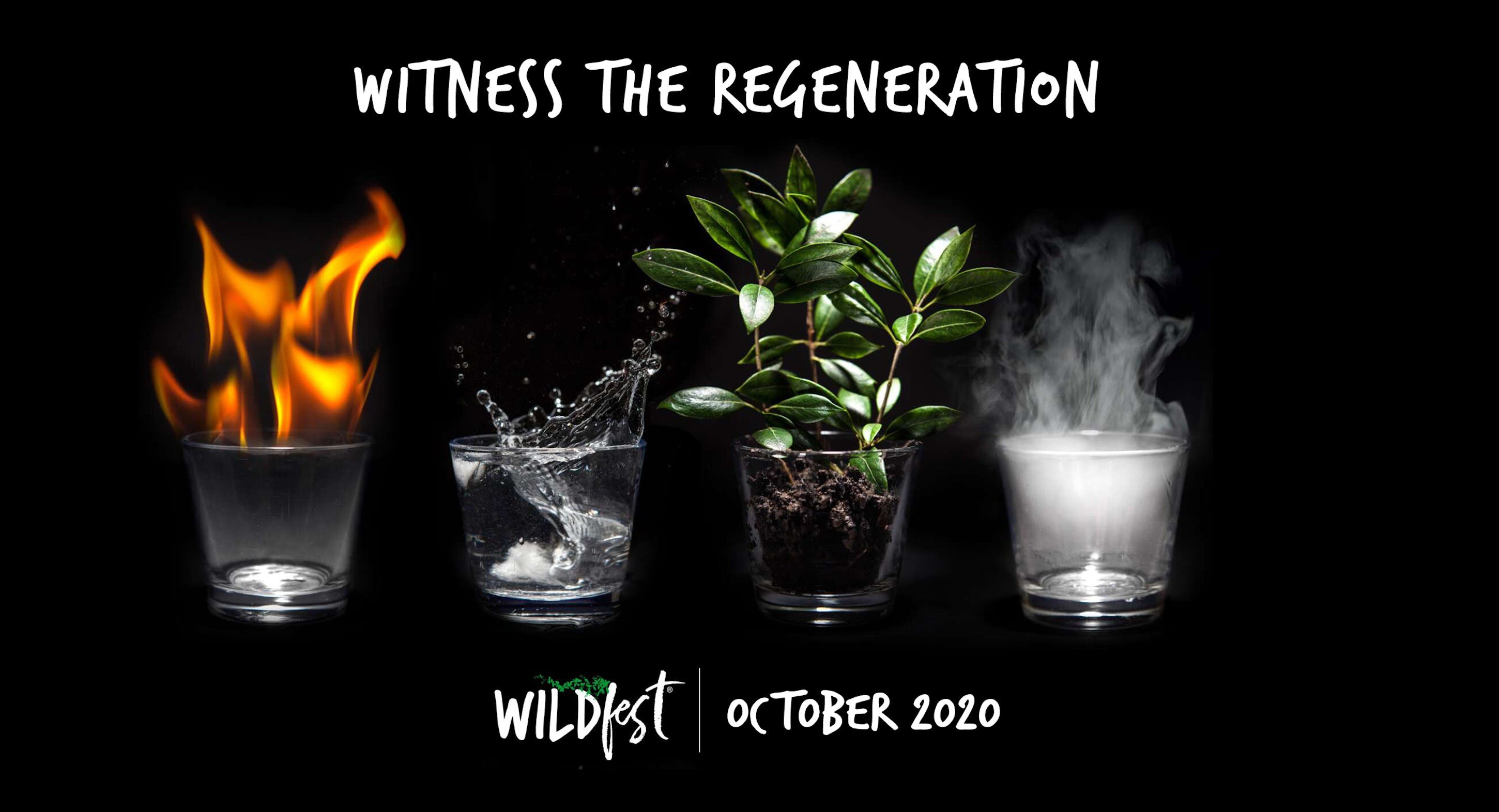 Wildfest - Annual Festival - Pubs and Clubs