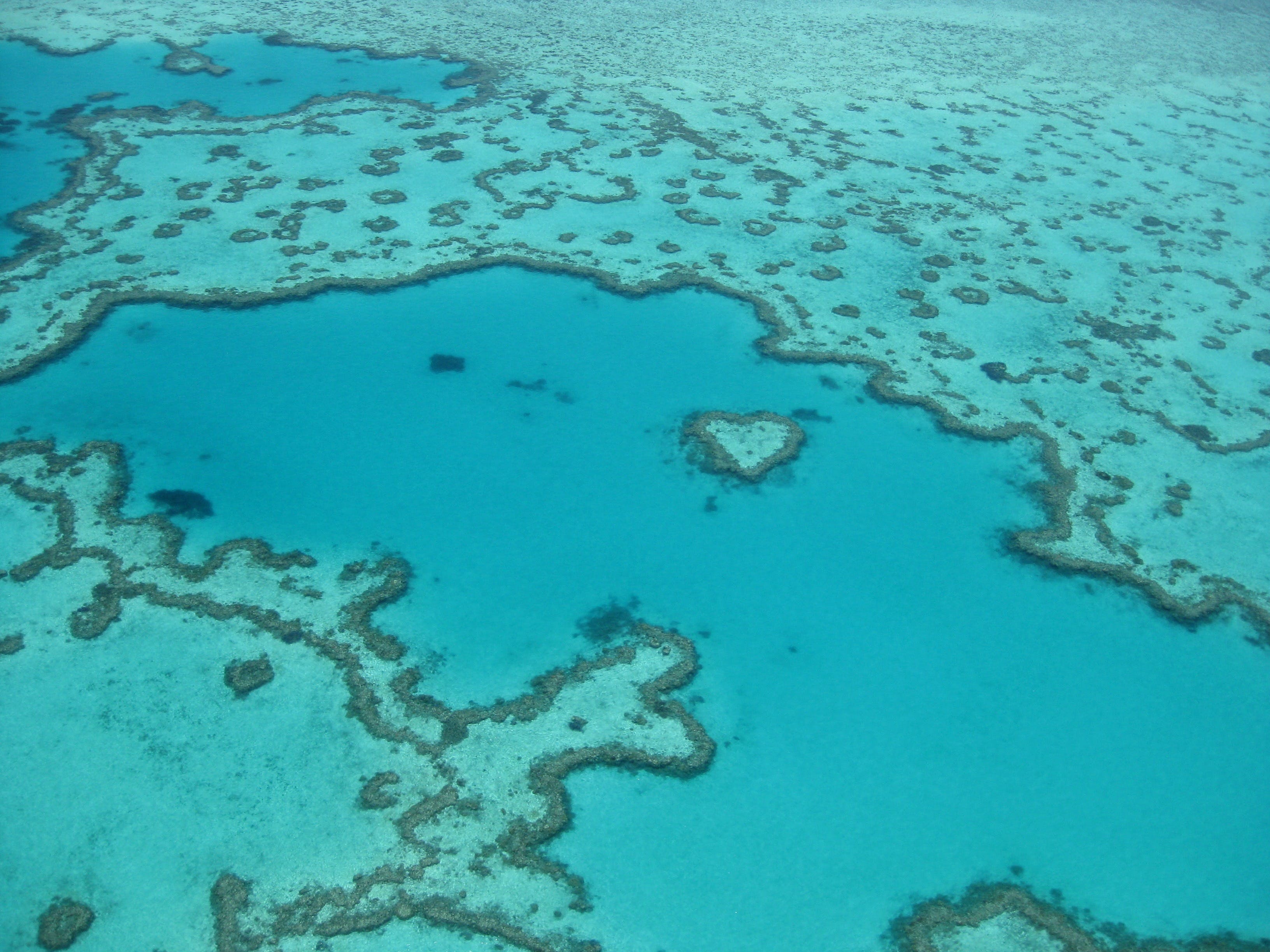 Australian Superyacht Rendezvous 2020 - Great Barrier Reef Edition - thumb 2