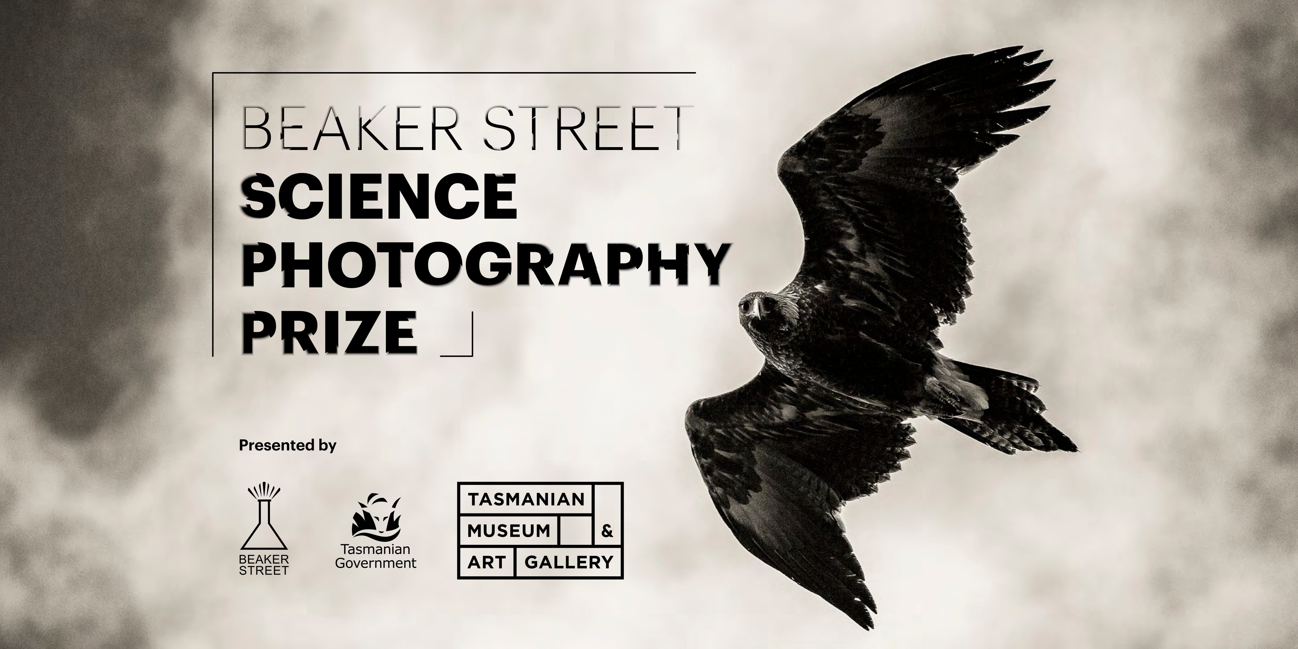 Beaker Street Science Photography Prize - thumb 0