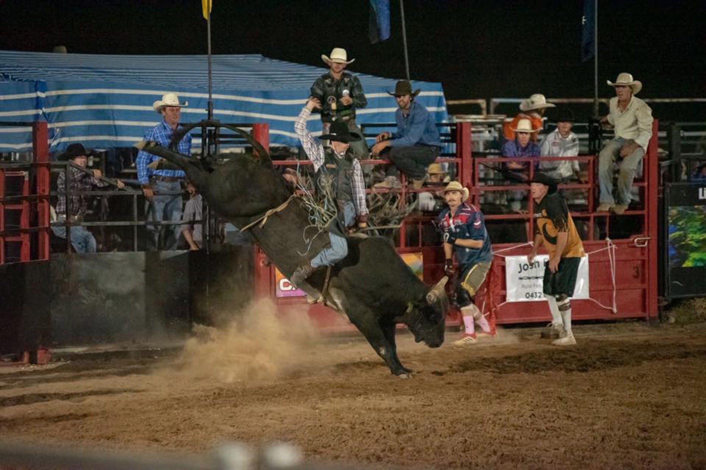 Black Opal Bull and Bronc Ride - C Tourism