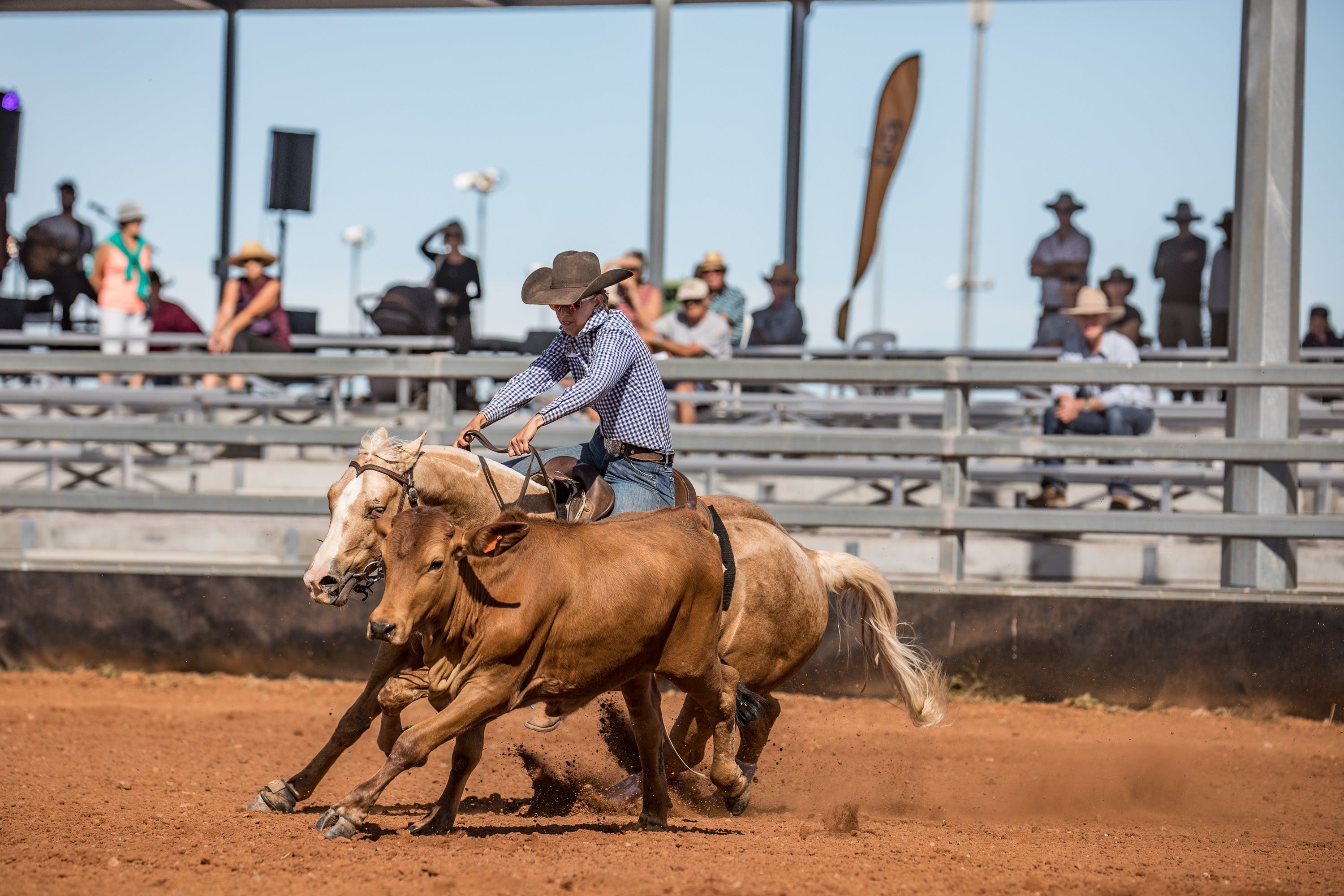 Cloncurry Stockmans Challenge And Campdraft - thumb 2