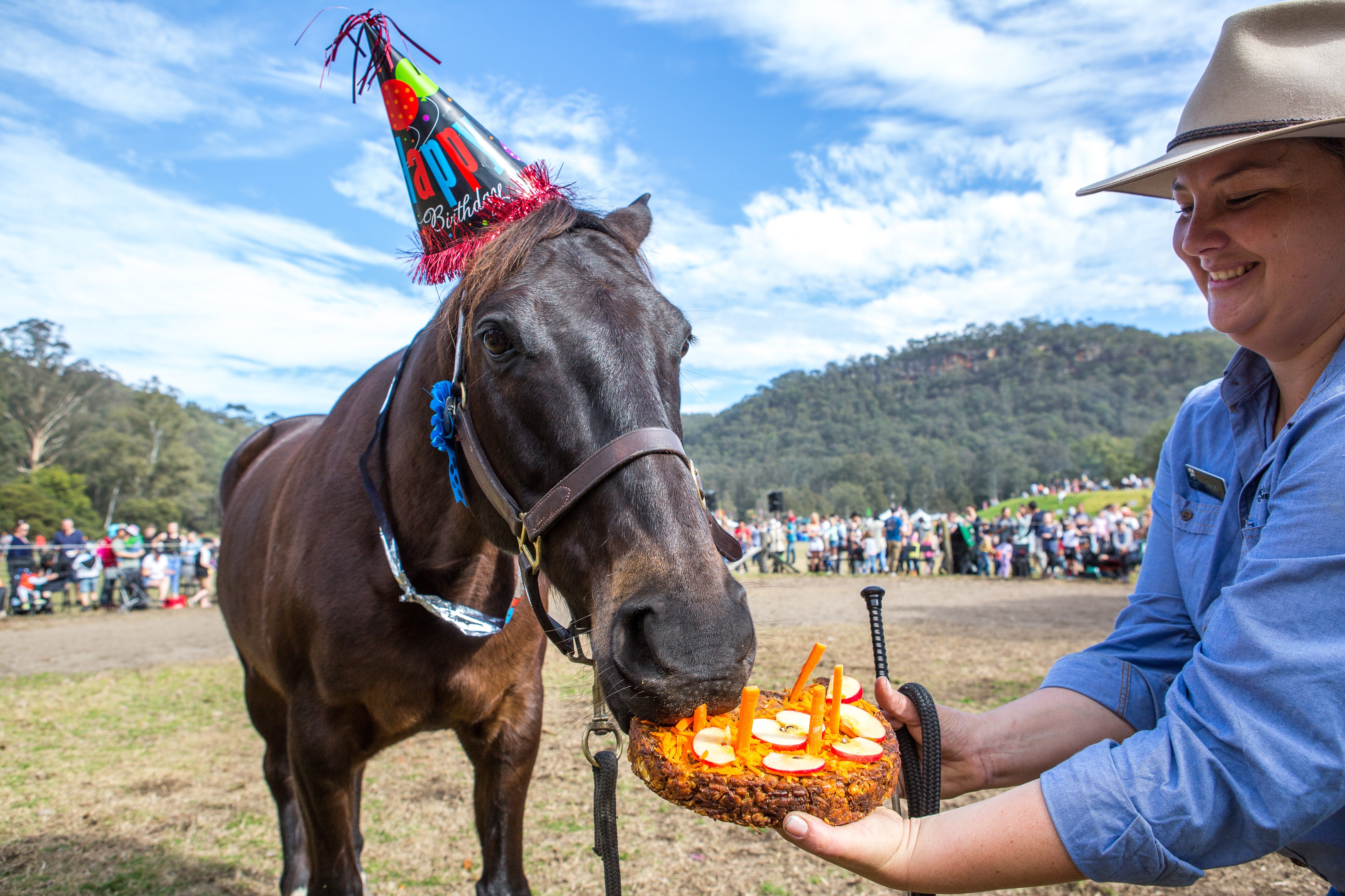 Horses Birthday Festival - Lightning Ridge Tourism