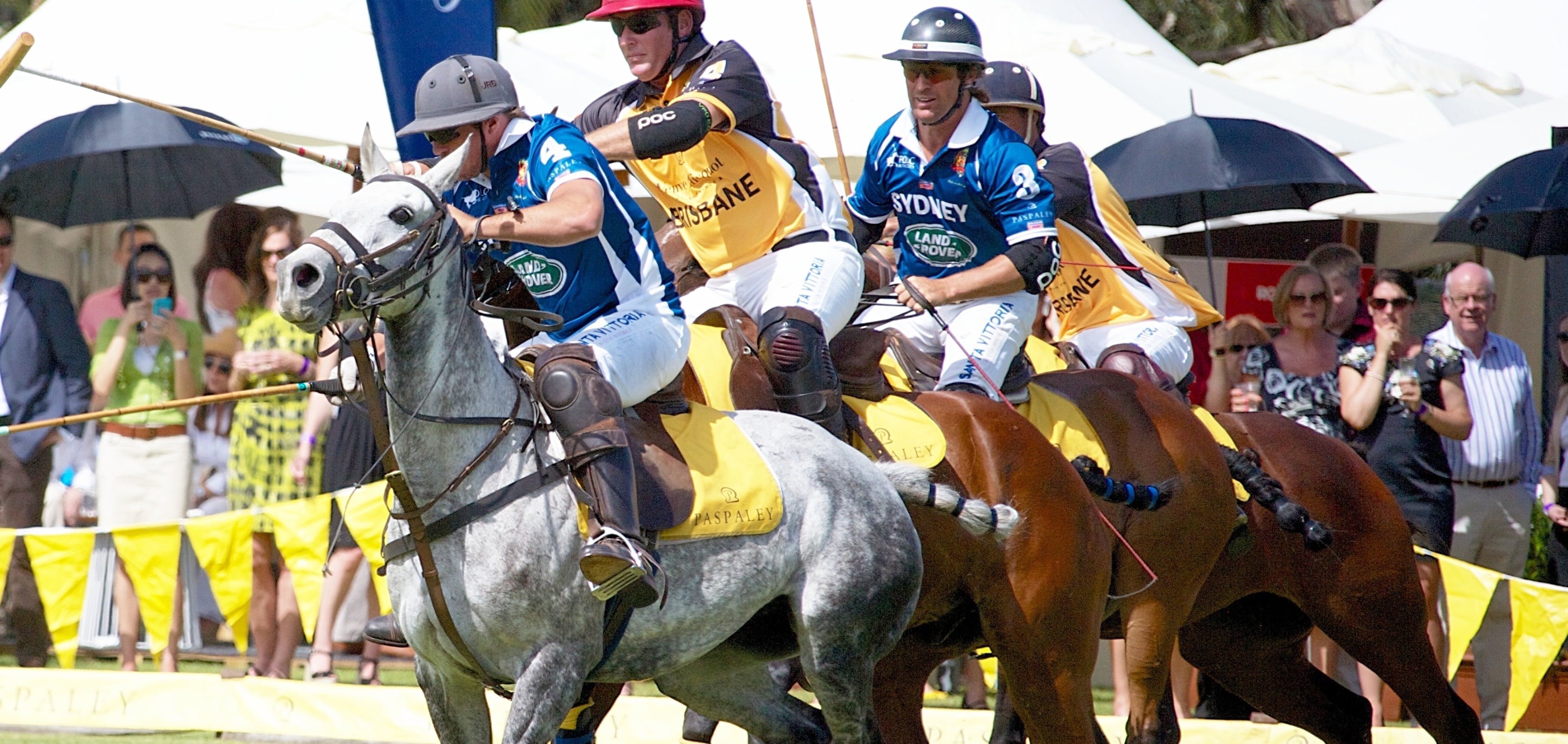 Land Rover Polo in the City Brisbane - Accommodation Brunswick Heads