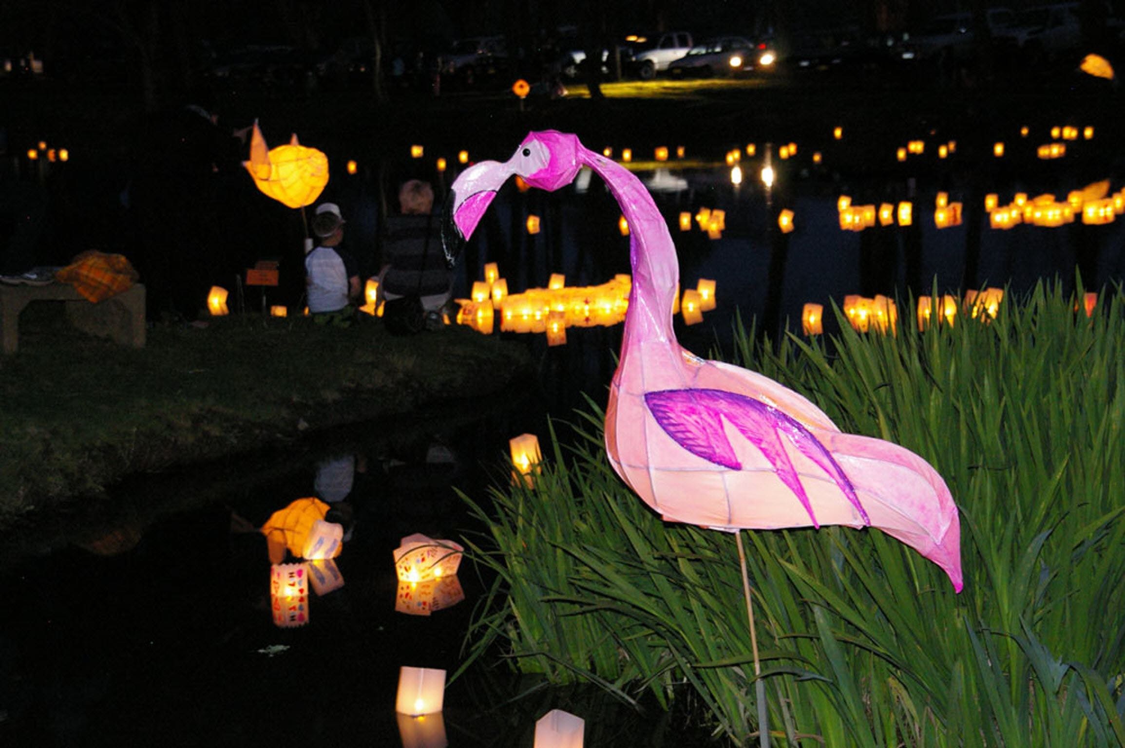 Lanterns On The Lagoon - thumb 1