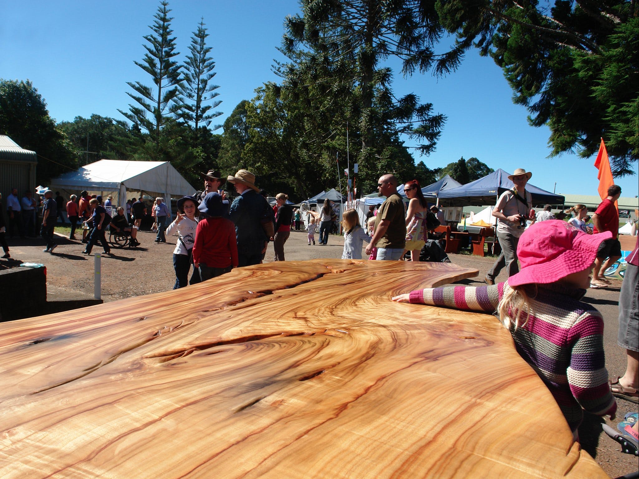 Maleny Wood Expo From Seed to Fine Furniture - Restaurants Sydney