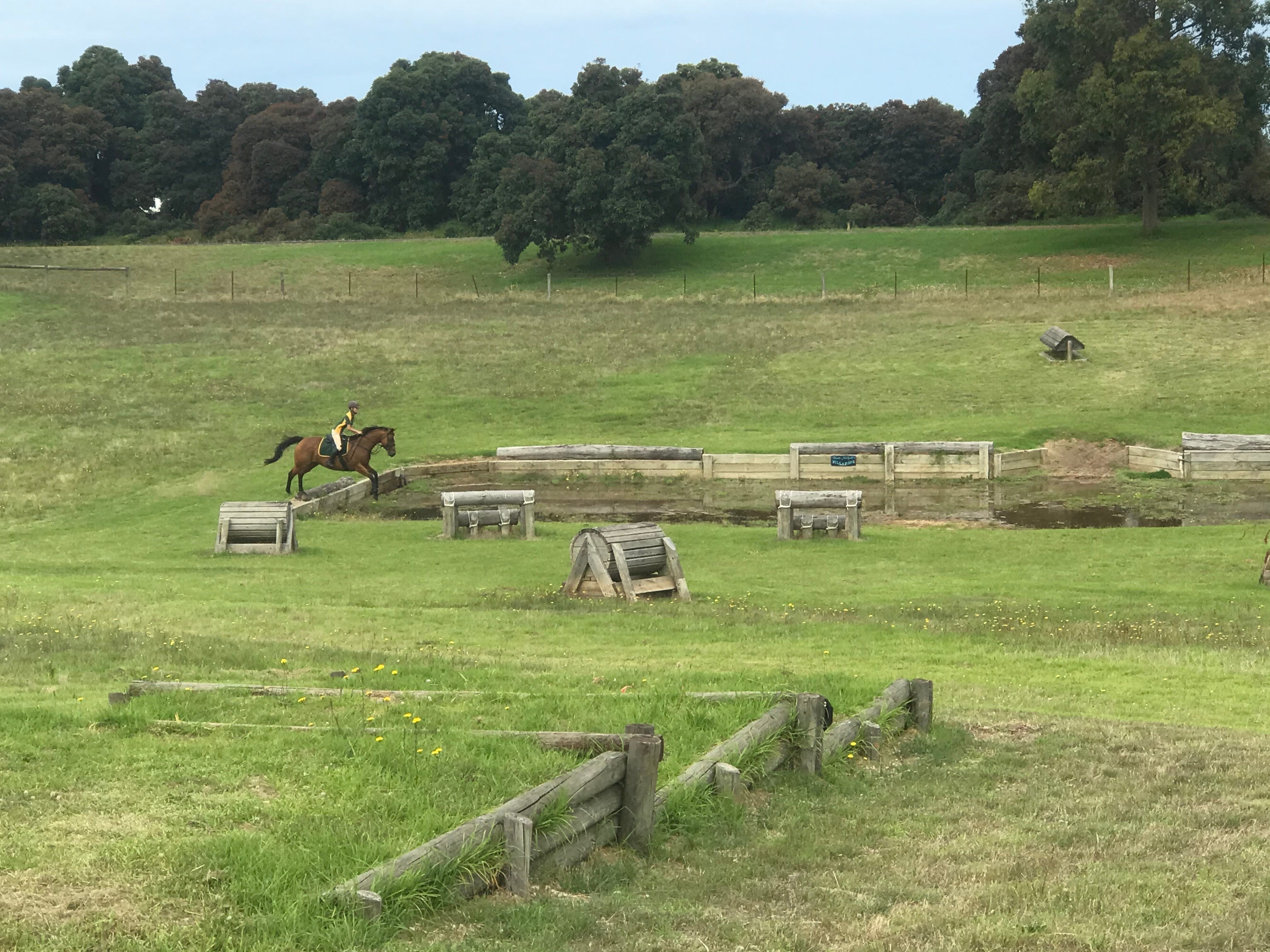 Mount Gambier and District Pony Club Horse Trials 2020 - Accommodation Gladstone