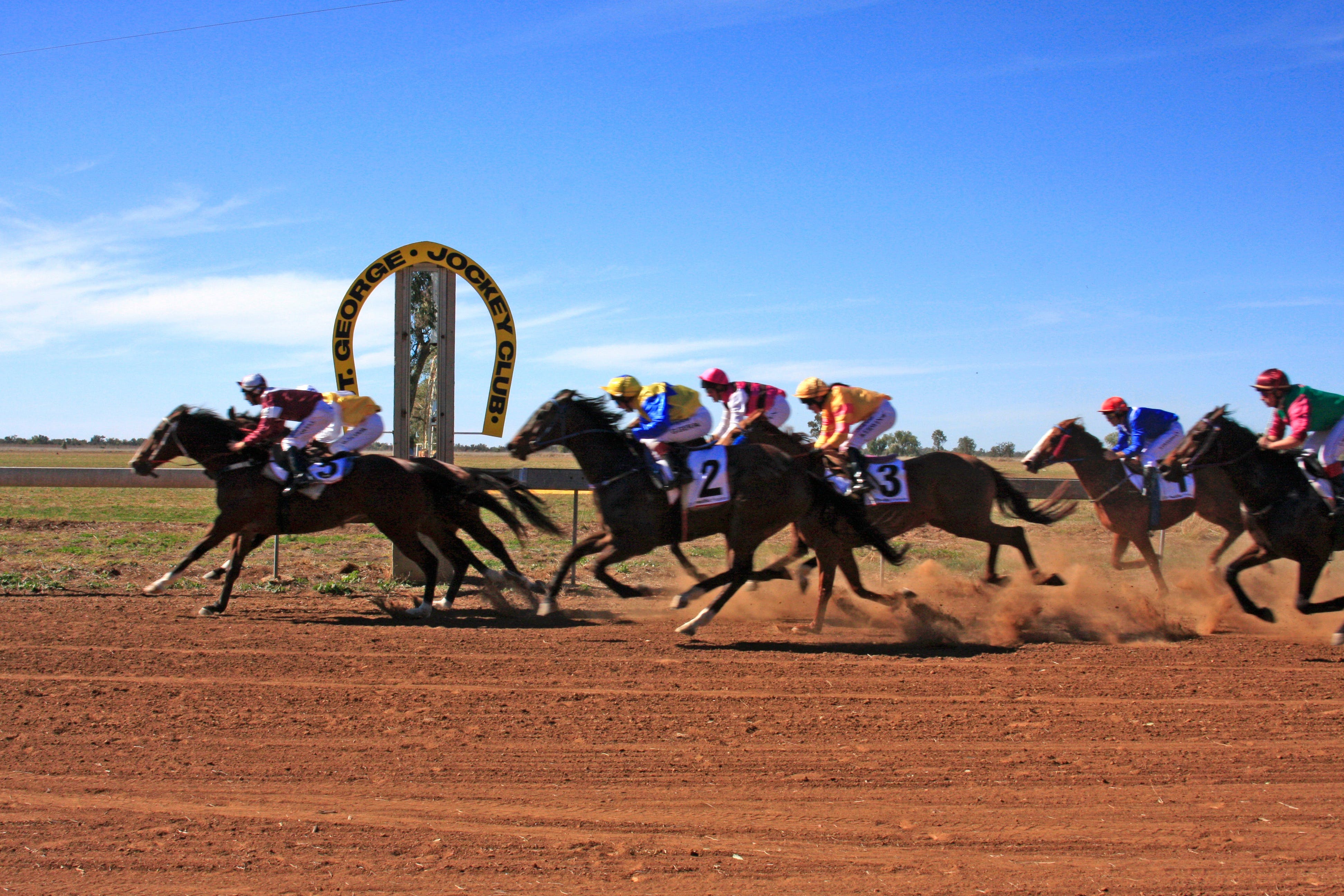 St George Cup Race - Tourism Canberra
