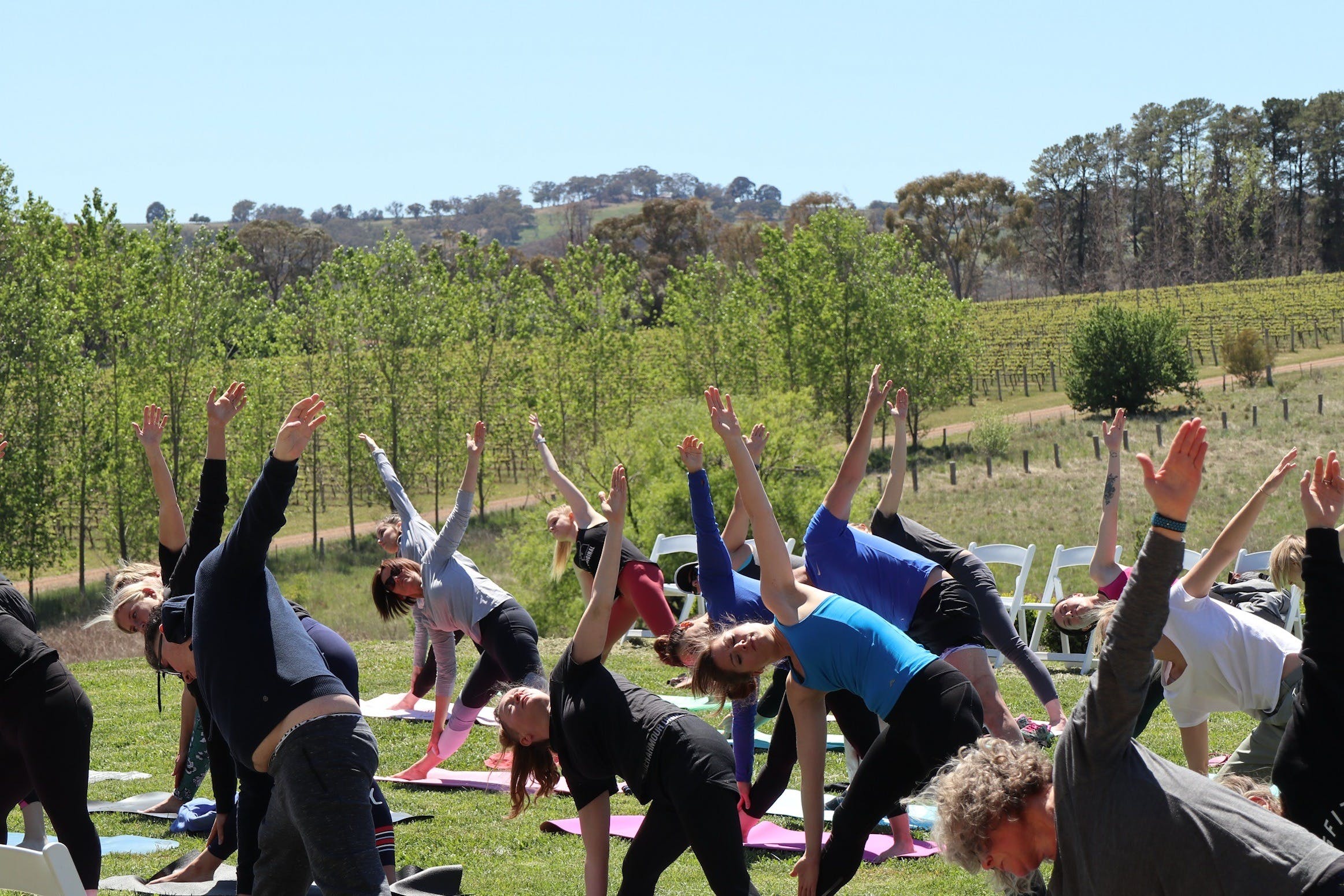 Yoga in the Vines - Townsville Tourism